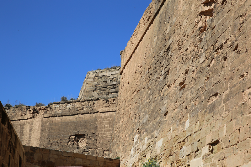 La suda de Lérida: château du Roi de la cité de Lérida, d'origine andalouse