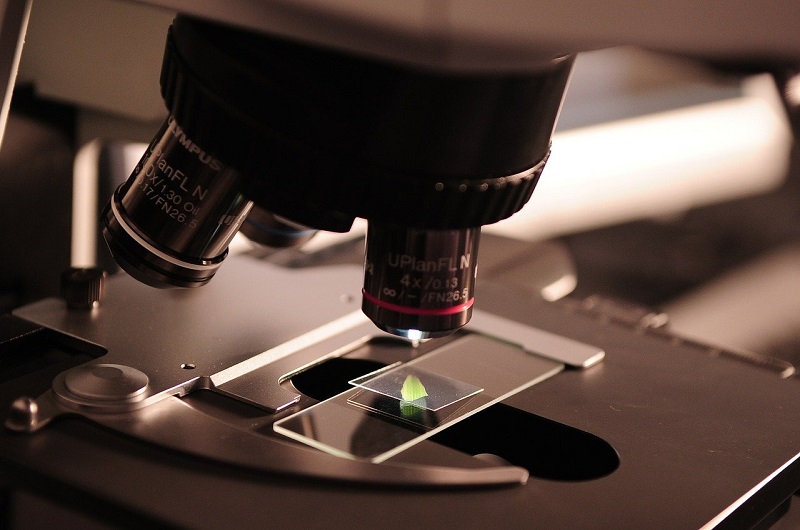 Андорра планирует провести эпидемиологическое исследование на наличие антител для оценки степени иммунитета всего населения