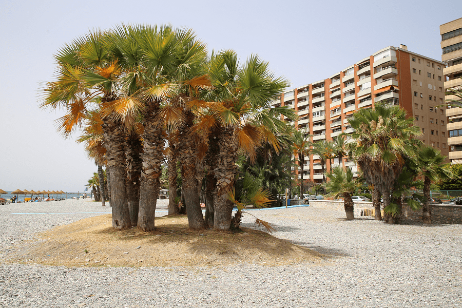 Велилья-Тарамай и ее пляж