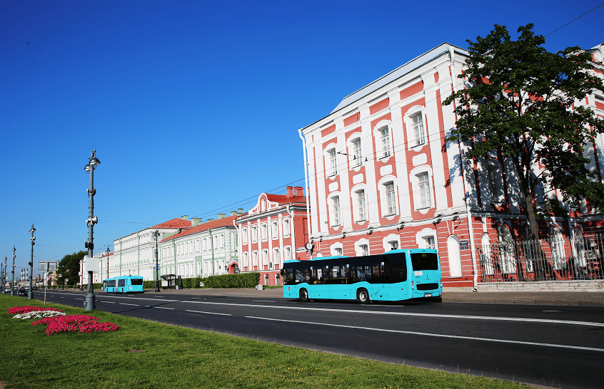 Twelve Colleges in St. Petersburg